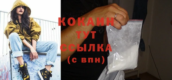 гидра Бронницы