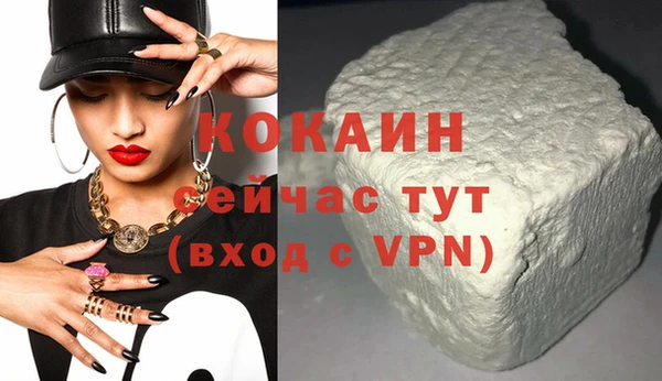 гидра Бронницы