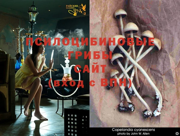 таблы Бугульма