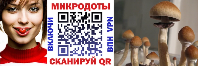 хочу   Екатеринбург  Псилоцибиновые грибы мухоморы 